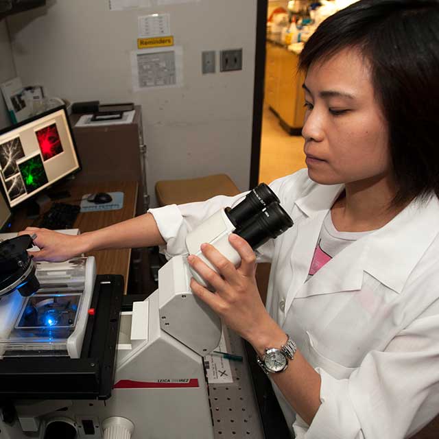 Woman looking in microscope. 